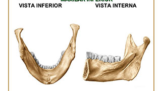 cirurgia-maxilar-preco